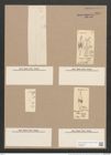 Pleurosigma ? lanceolatum Donkin (de-Toni-Nr.: Genus 13, Species 1019) Zeichnungen Sammlung Grunow Nr. 2081 (NHMW-BOT-W0368947)